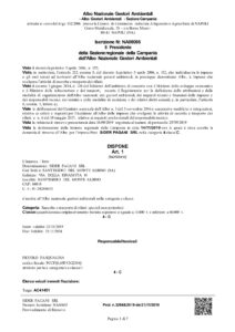 AUTORIZZAZIONI