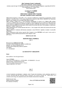 AUTORIZZAZIONI